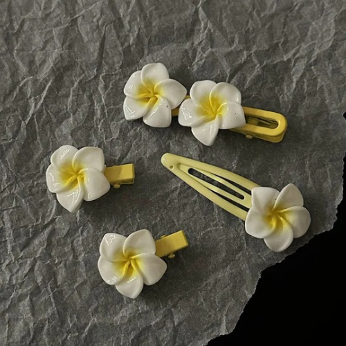 Hair Clips